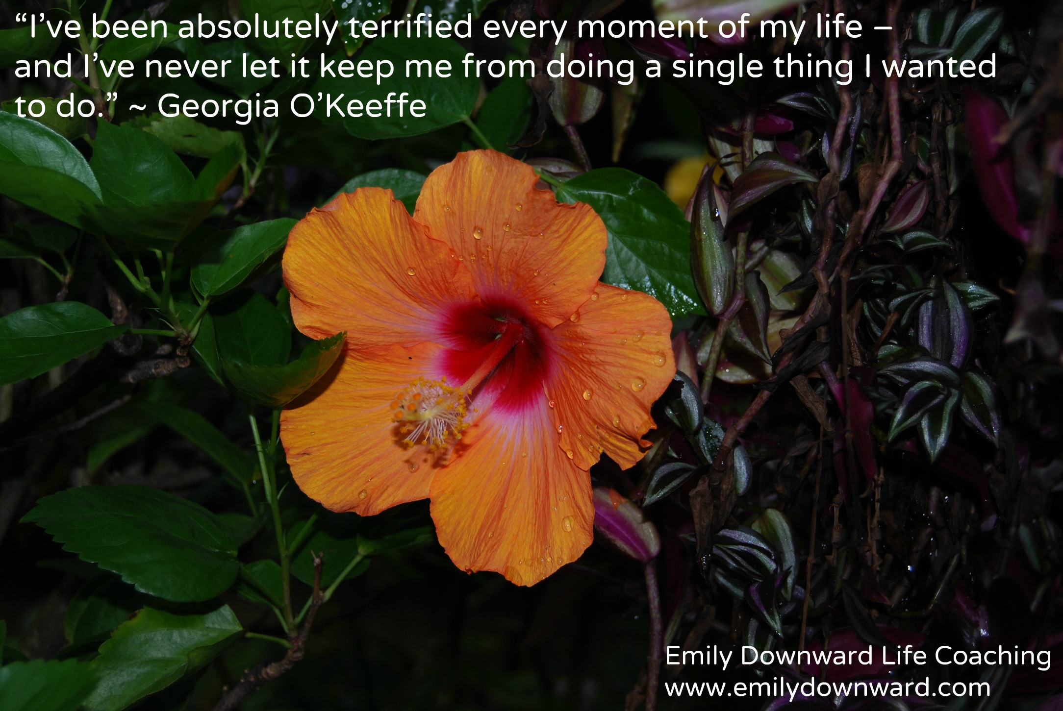 “I’ve been absolutely terrified every moment of my life – and I’ve never let it keep me from doing a single thing I wanted to do.” - Georgia O’Keeffe