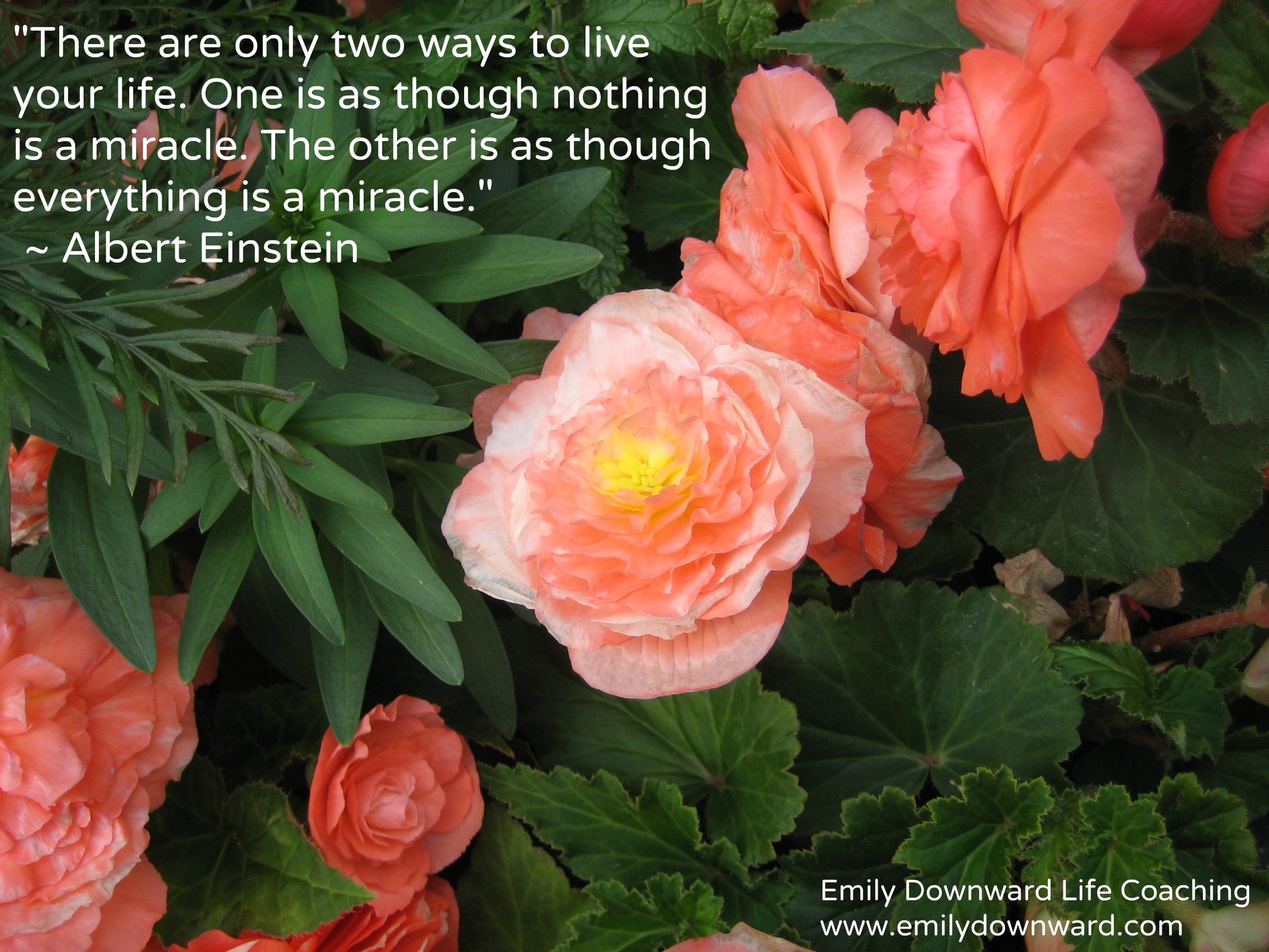 “There are only two ways to live your life. One is as though nothing is a miracle. The other is as though everything is a miracle.” ― Albert Einstein