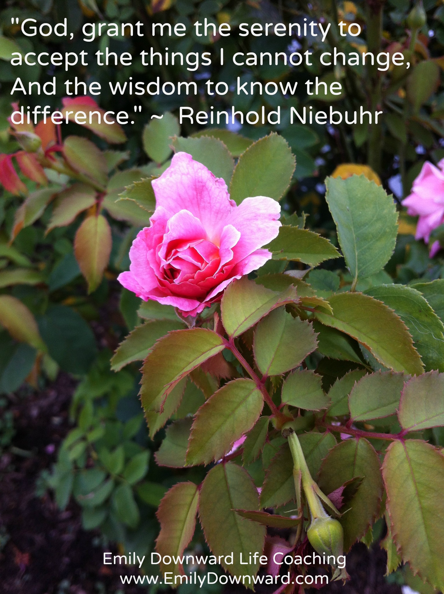 "God grant me the serenity to accept the things I cannot change, the courage to change the things I can, and the wisdom to know the difference." ~ Reinhold Niebuhr