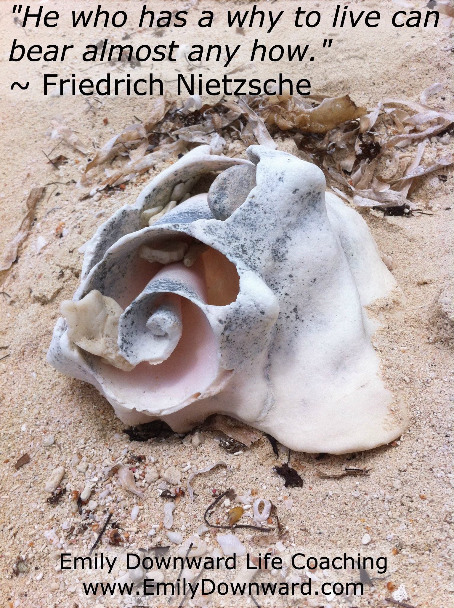 "He who has a why to live can bear almost any how." ~ Friedrich Nietzsche