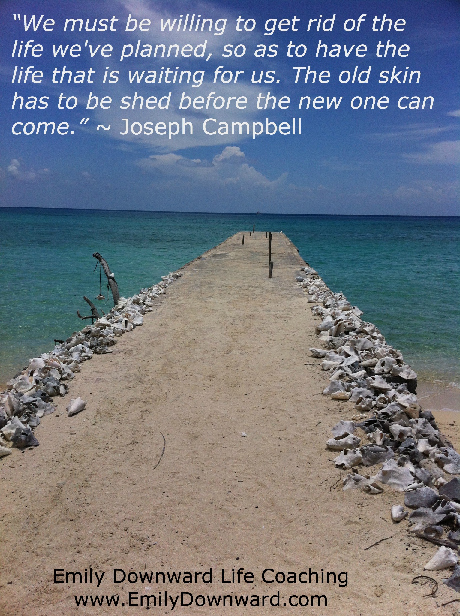 “We must be willing to get rid of the life we've planned, so as to have the life that is waiting for us. The old skin has to be shed before the new one can come.” ~ Joseph Campbell