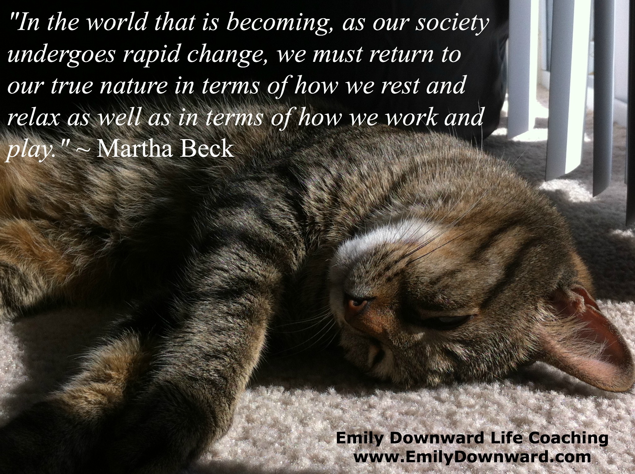 "In the world that is becoming, as our society undergoes rapid change, we must return to our true nature in terms of how we rest and relax as well as in terms of how we work and play." ~ Martha Beck