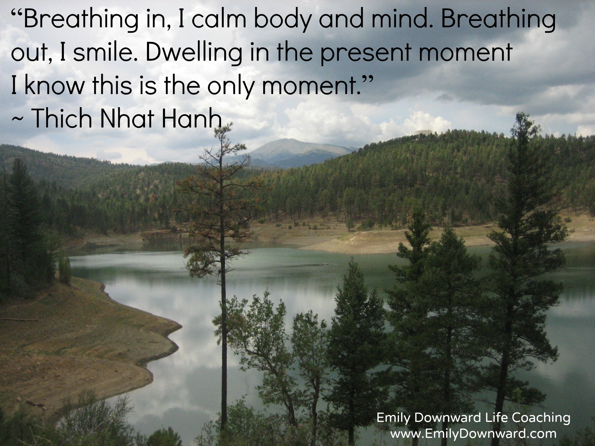 “Breathing in, I calm body and mind. Breathing out, I smile. Dwelling in the present moment I know this is the only moment.” ~ Thich Nhat Hanh