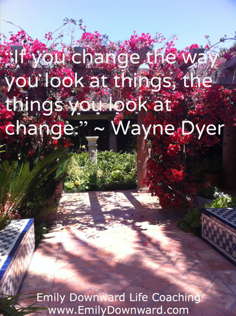 “If you change the way you look at things, the things you look at change.”  ~ Wayne Dyer