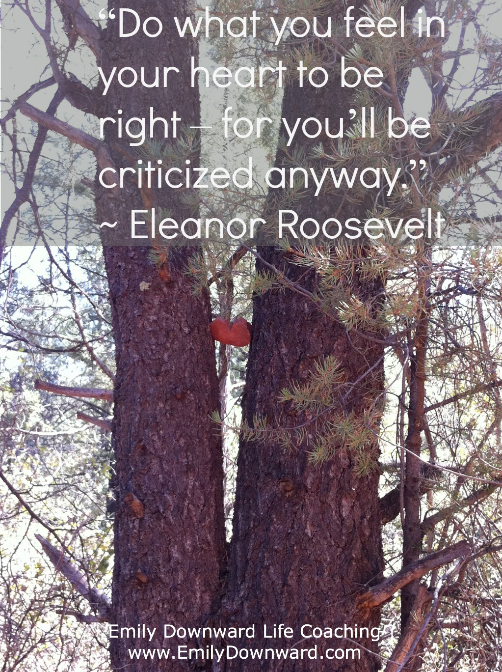 “Do what you feel in your heart to be right – for you’ll be criticized anyway.” ~ Eleanor Roosevelt