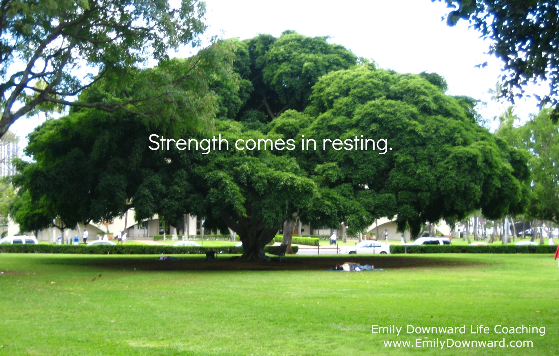 Strength comes in resting.