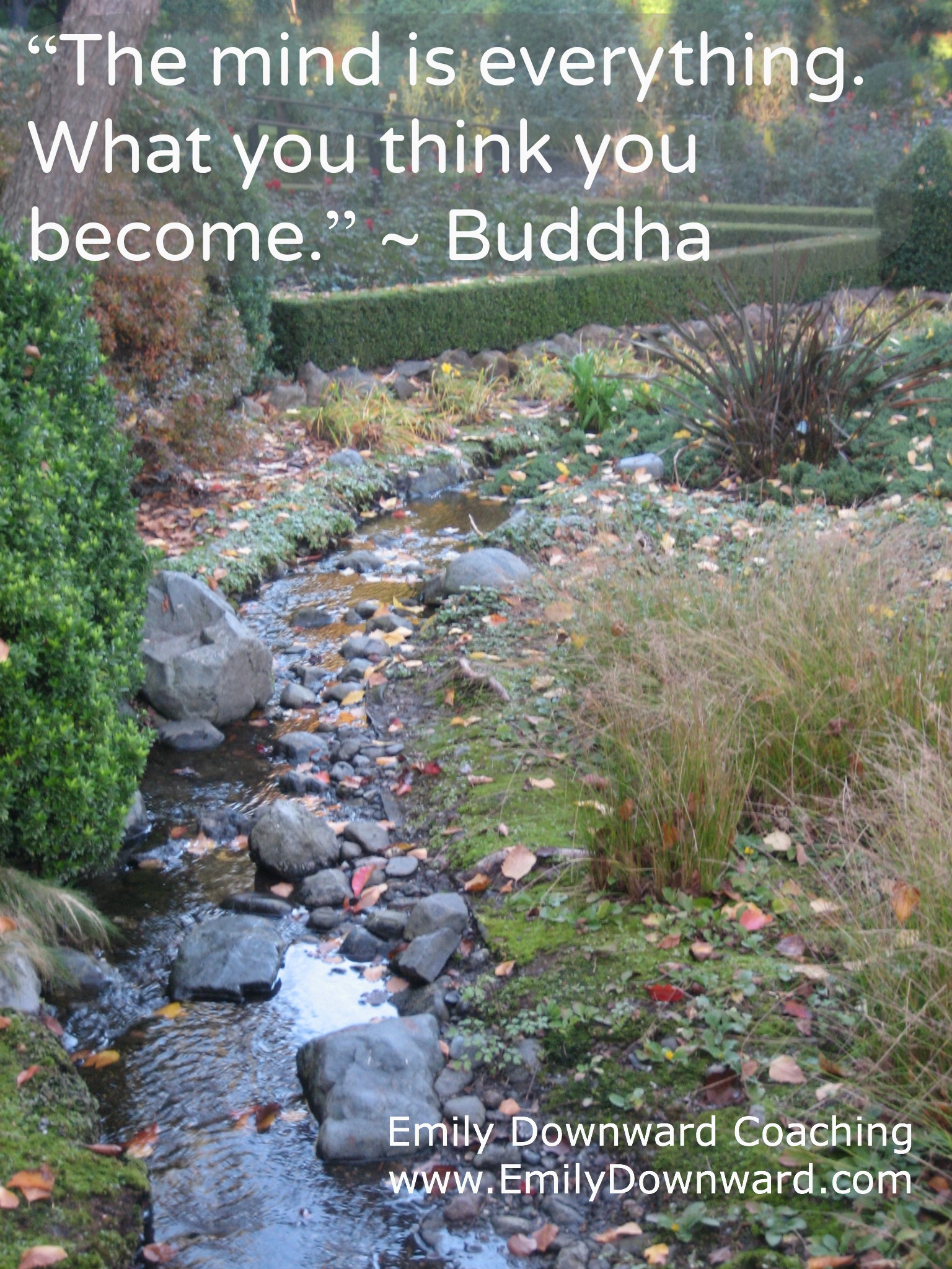 “The mind is everything. What you think you become.” ~ Buddha