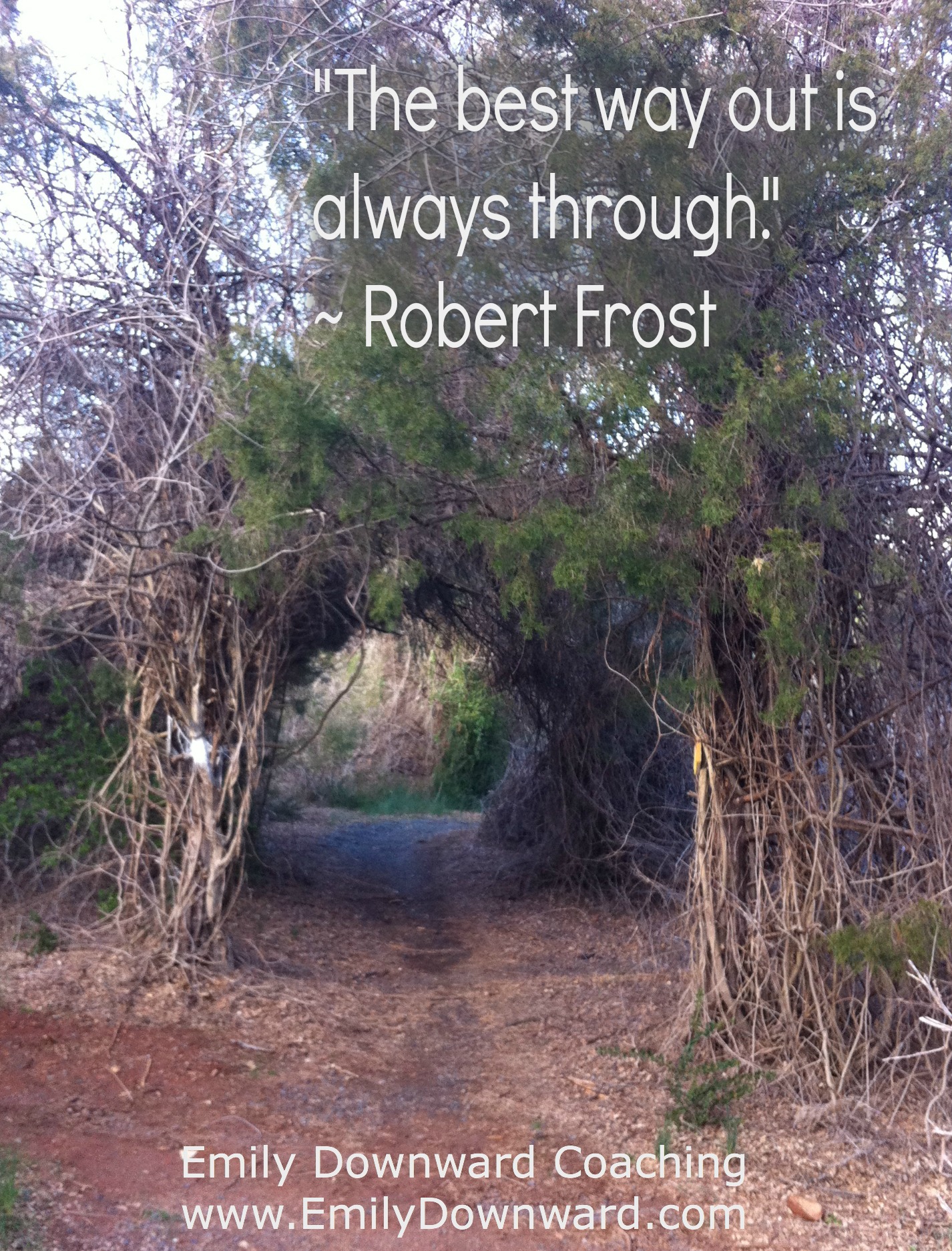 “The best way out is always through.” ~ Robert Frost