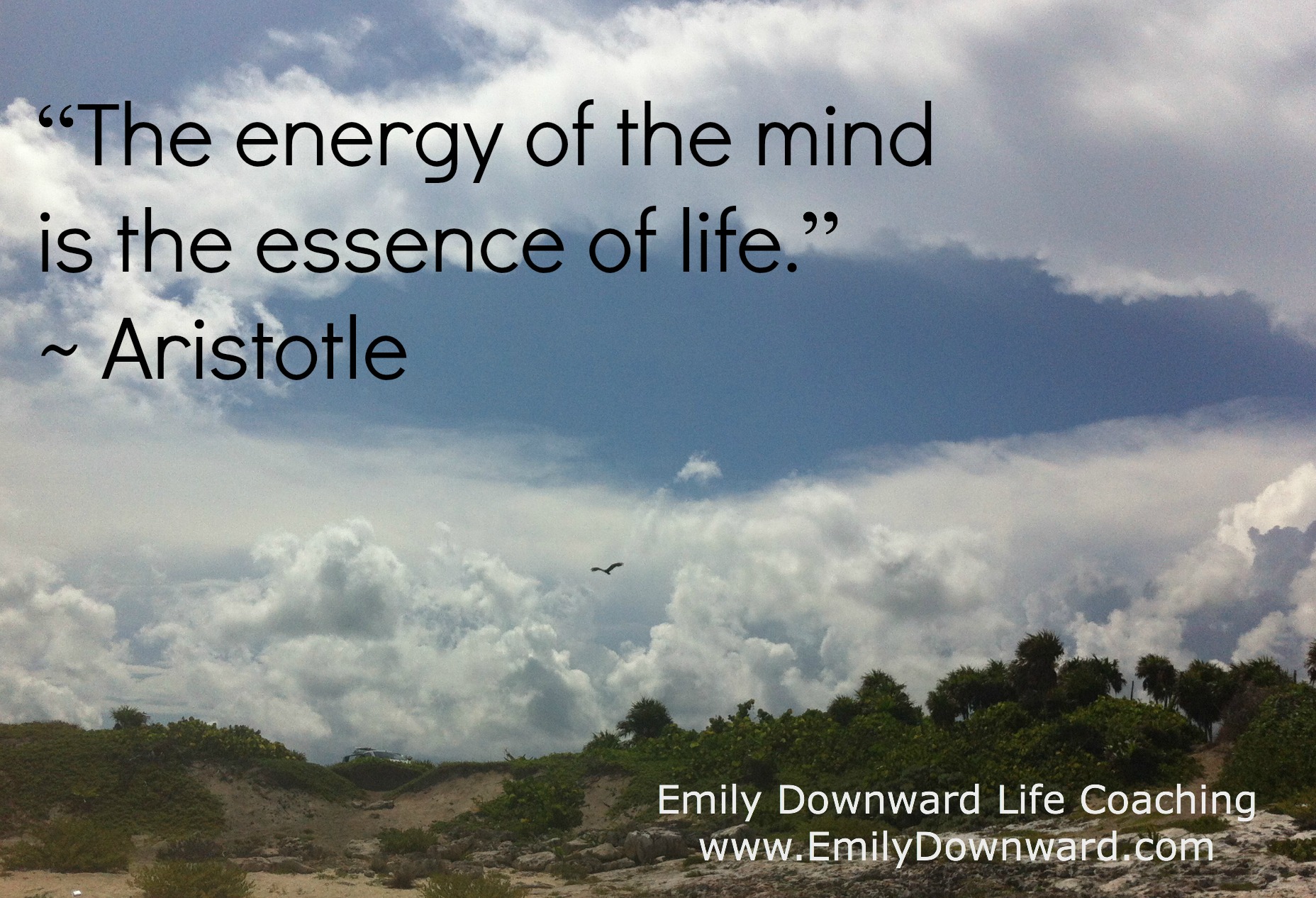 “The energy of the mind is the essence of life.” ~ Aristotle