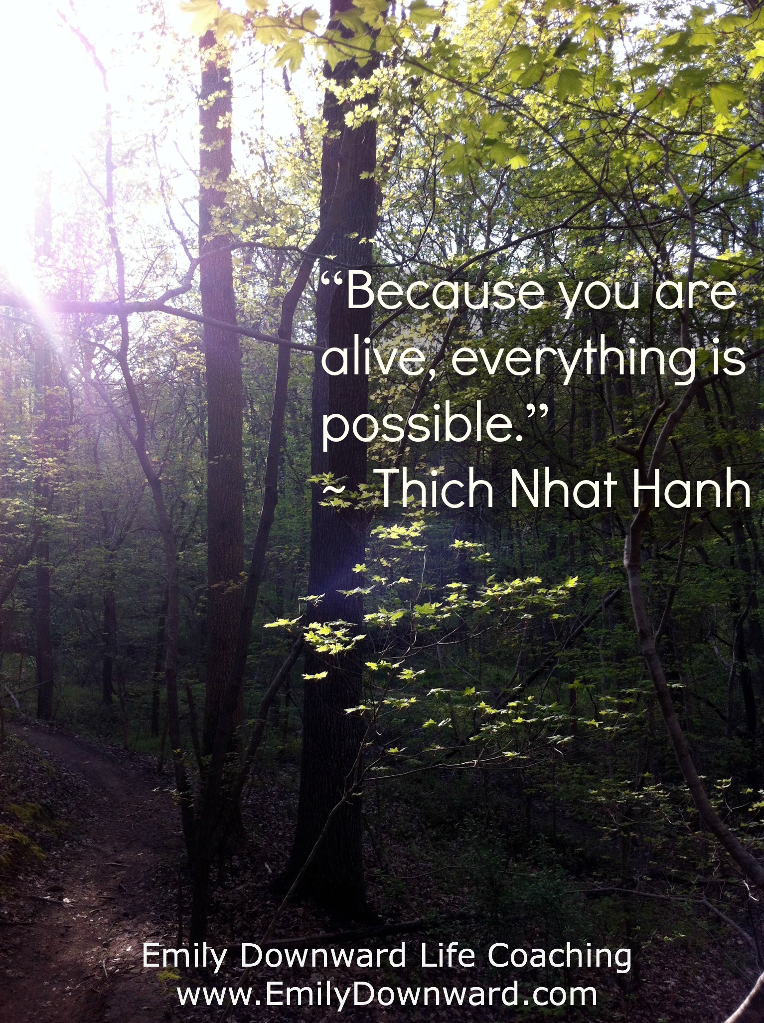 “Because you are alive, everything is possible.”~  Thich Nhat Hanh