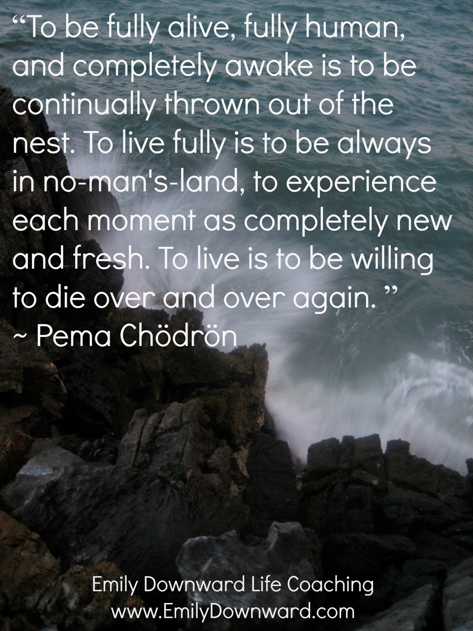 “To be fully alive, fully human, and completely awake is to be continually thrown out of the nest. To live fully is to be always in no-man's-land, to experience each moment as completely new and fresh. To live is to be willing to die over and over again. ” ~ Pema Chödrön