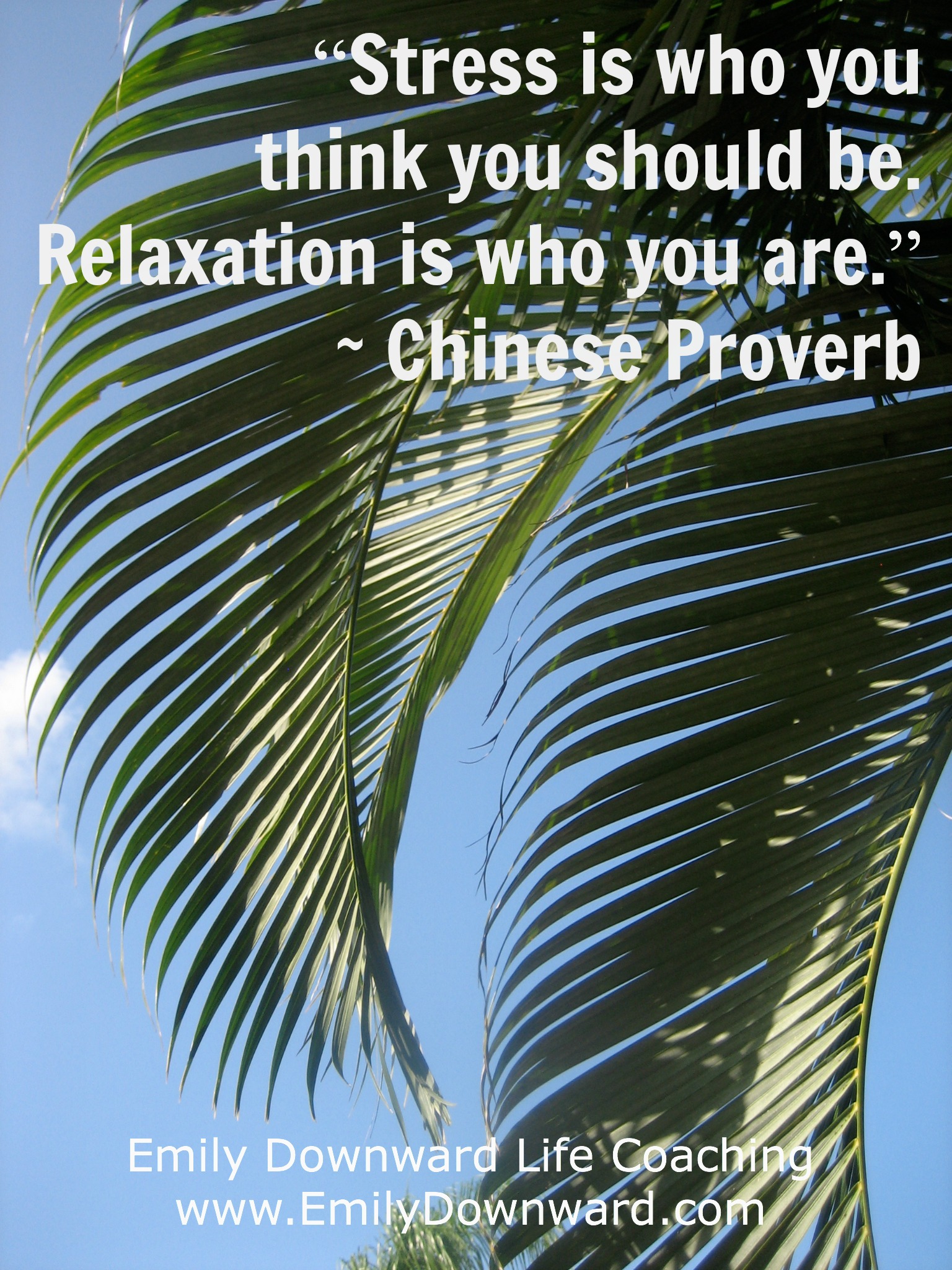 “Stress is who you think you should be. Relaxation is who you are.” ~ Chinese Proverb