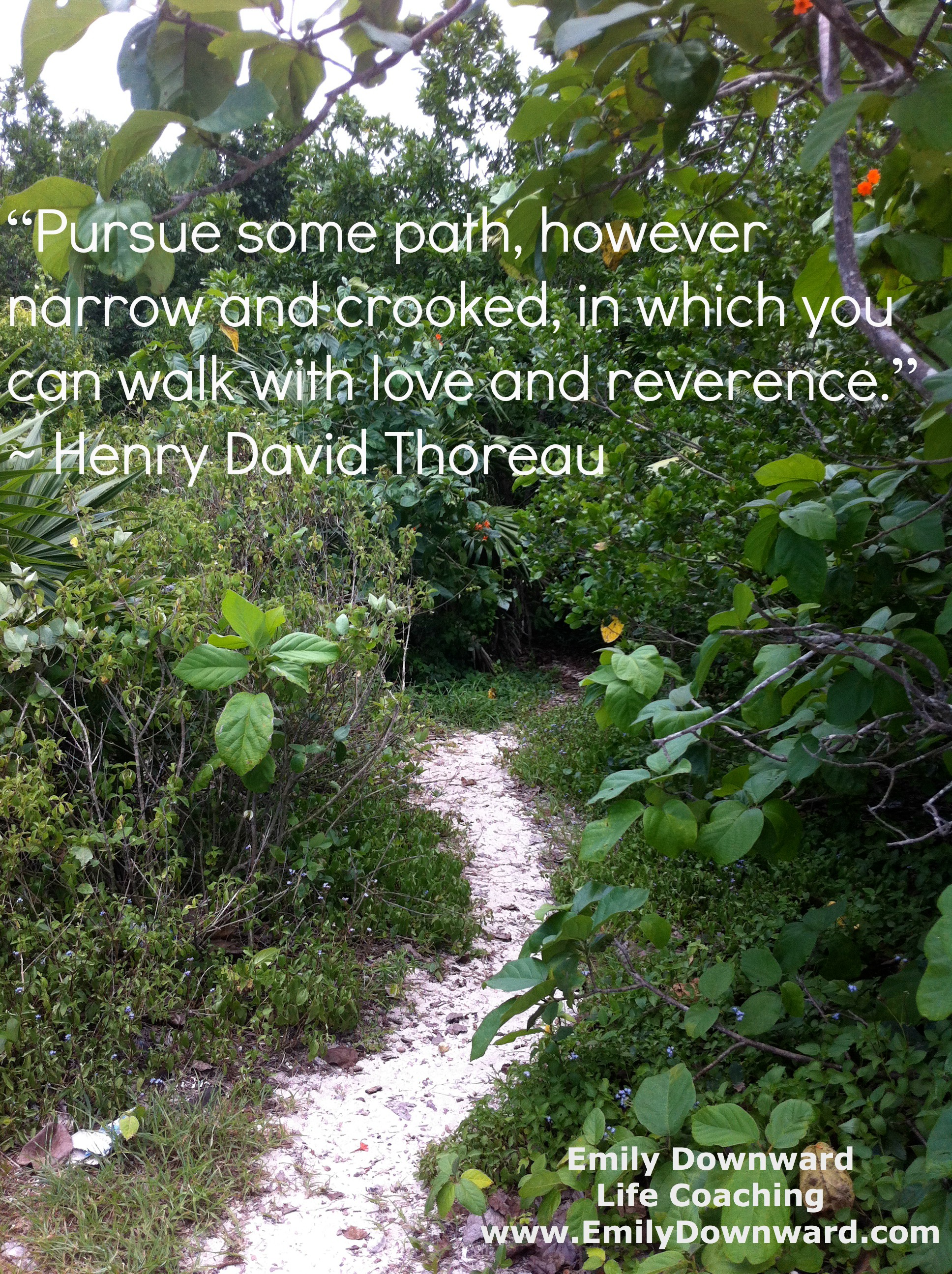 “Pursue some path, however narrow and crooked, in which you can walk with love and reverence.” ~ Henry David Thoreau