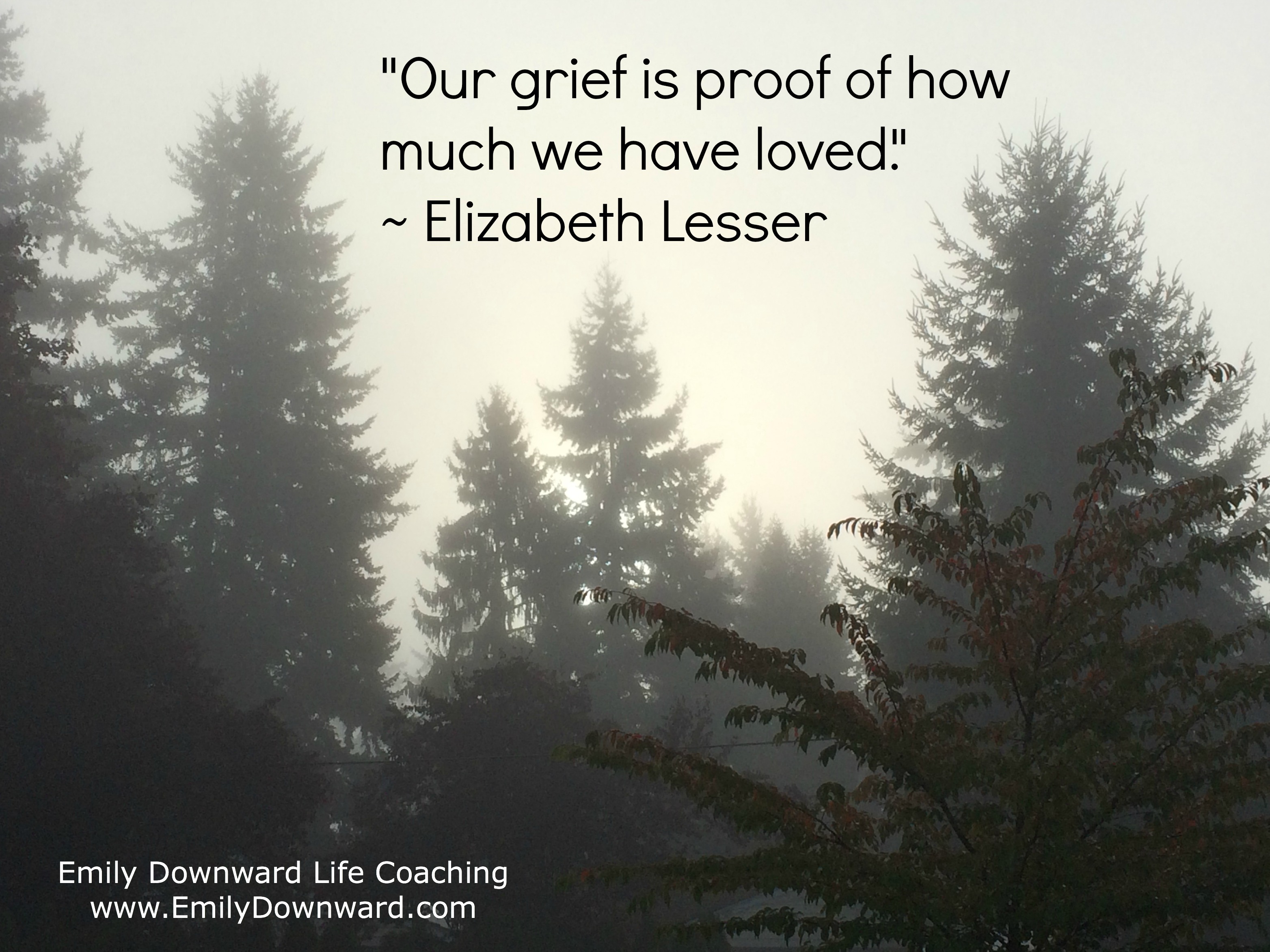 "Our grief is proof of how much we have loved." ~ Elizabeth Lesser