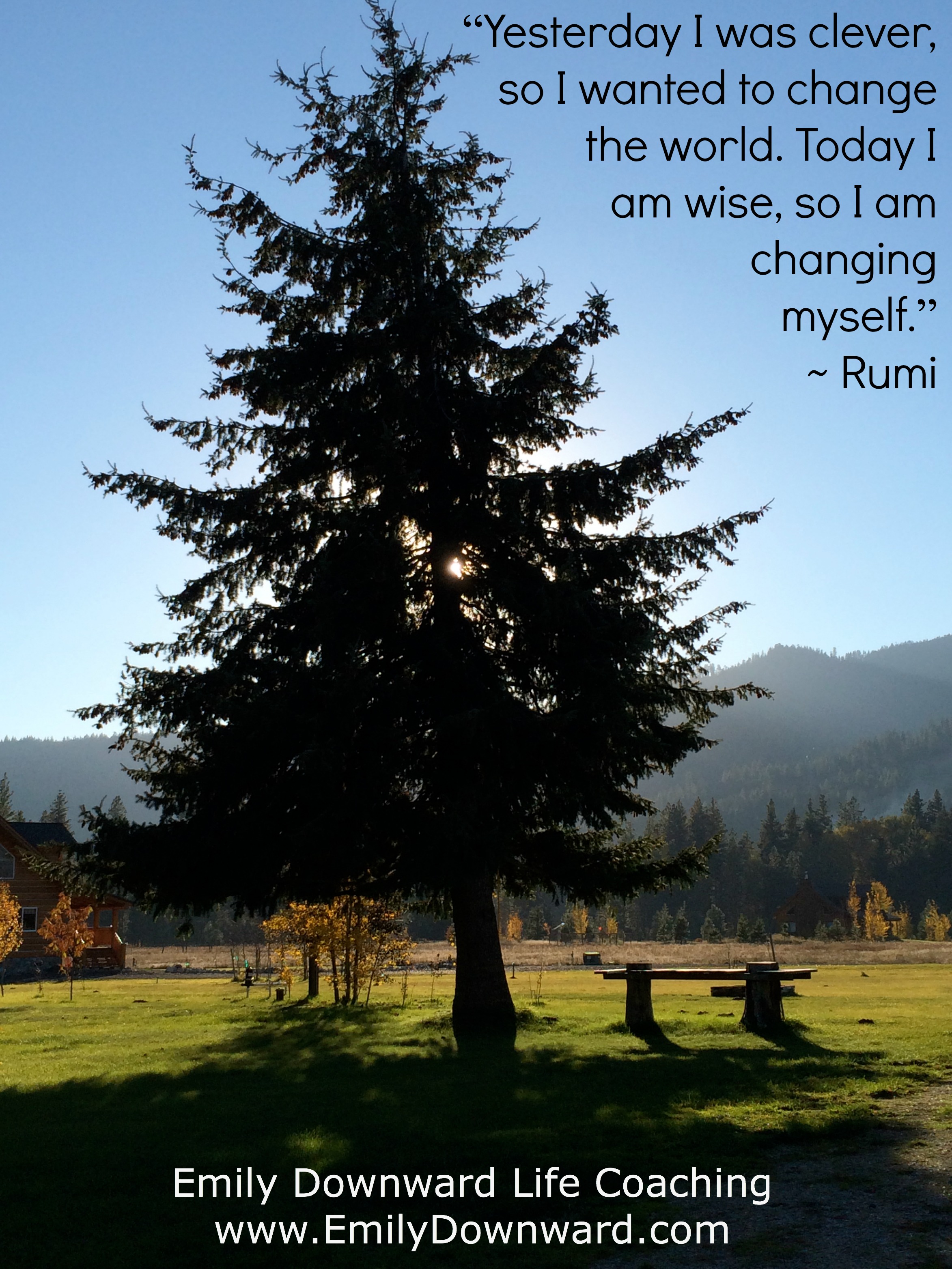 “Yesterday I was clever, so I wanted to change the world. Today I am wise, so I am changing myself.”~ Rumi