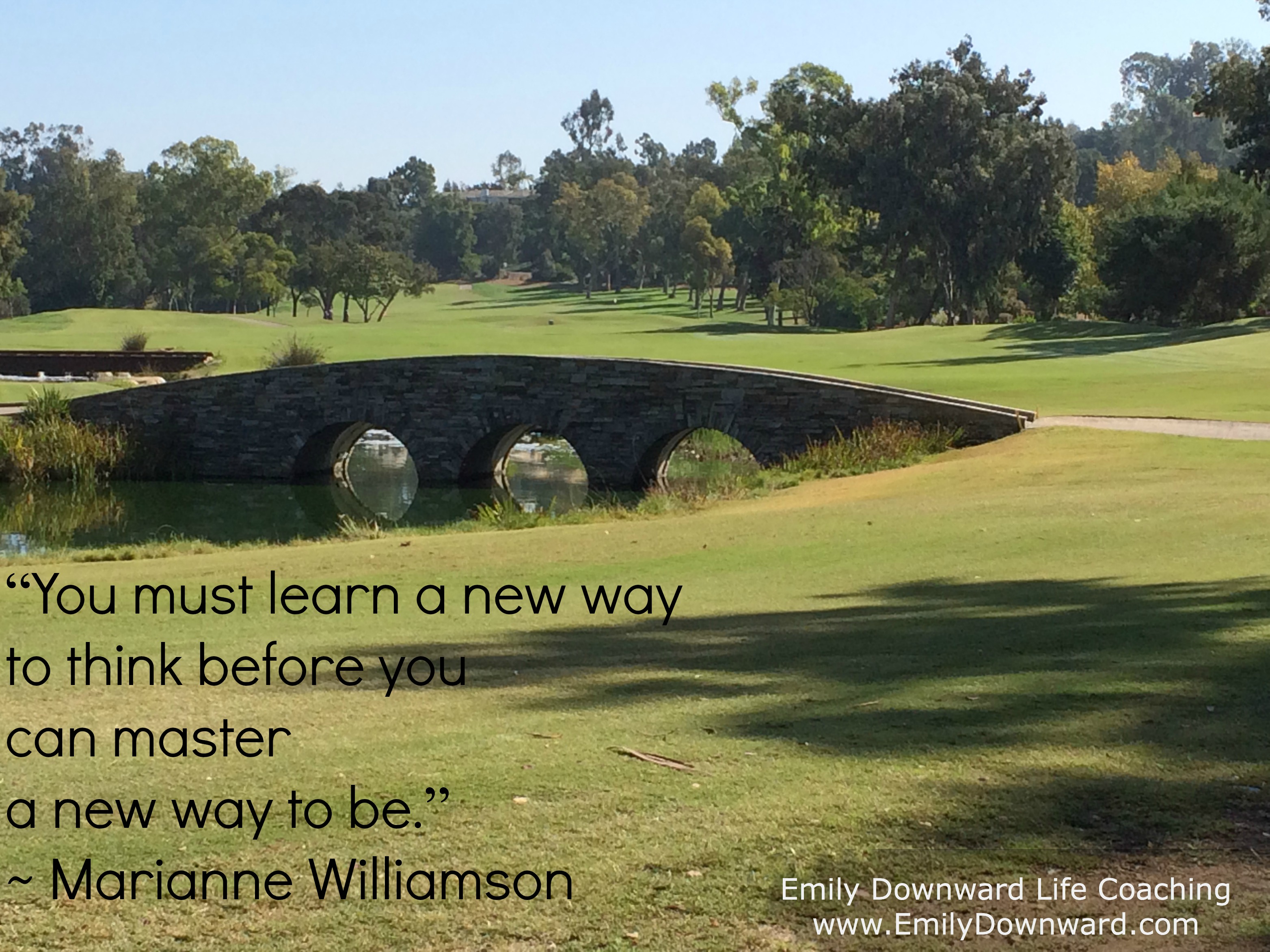 “You must learn a new way to think before you can master a new way to be.” ~ Marianne Williamson