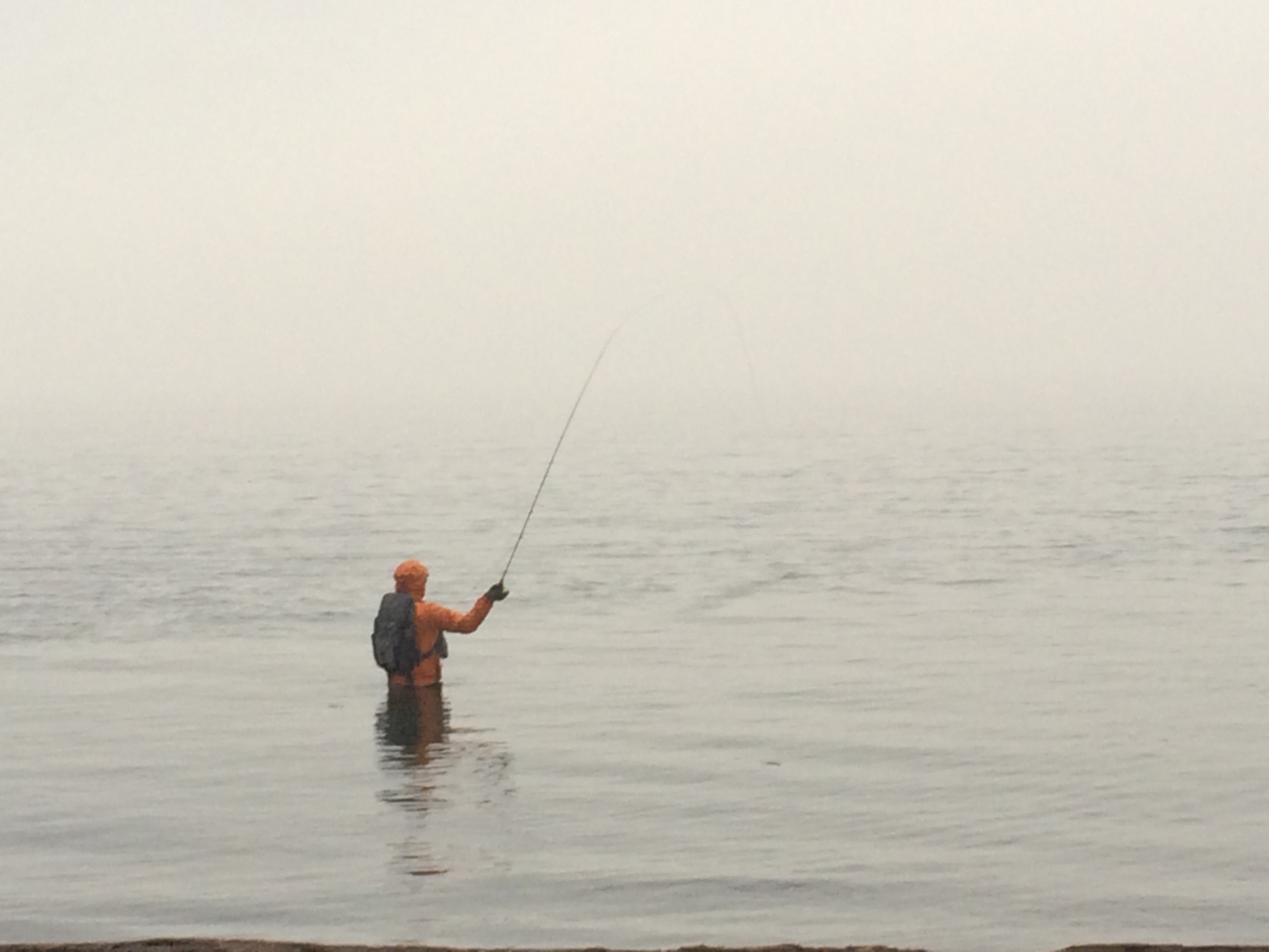 Emily_Downward_Coaching-Fisherman in Seattle